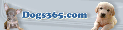 Link to www.dogs365.com